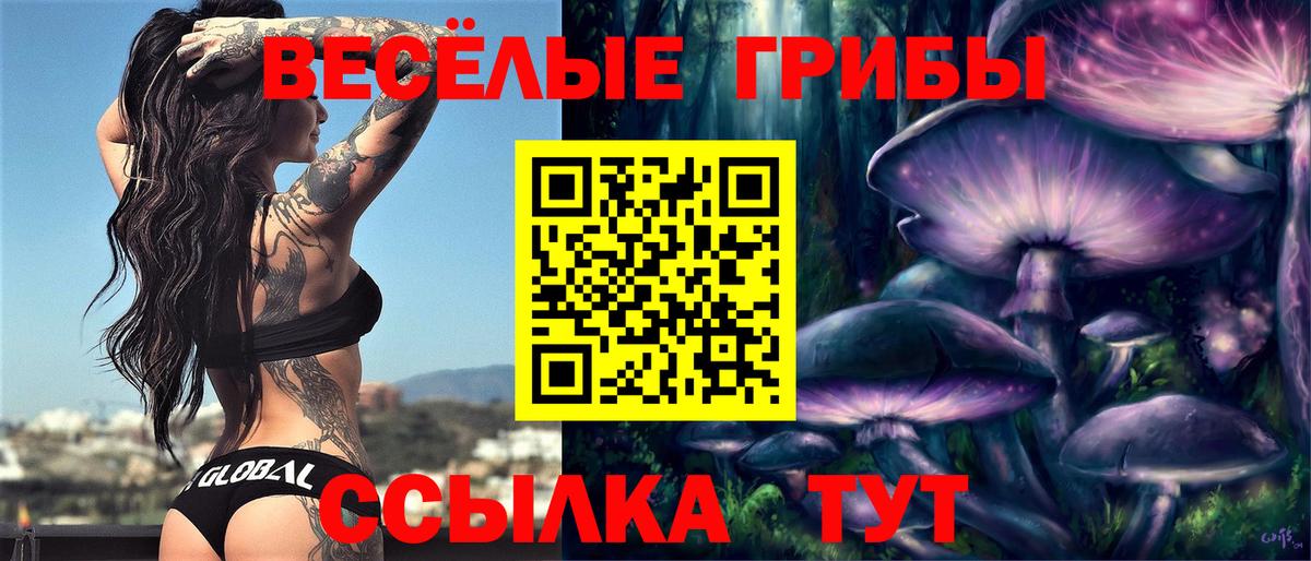 Галлюциногенные грибы мицелий Железноводск