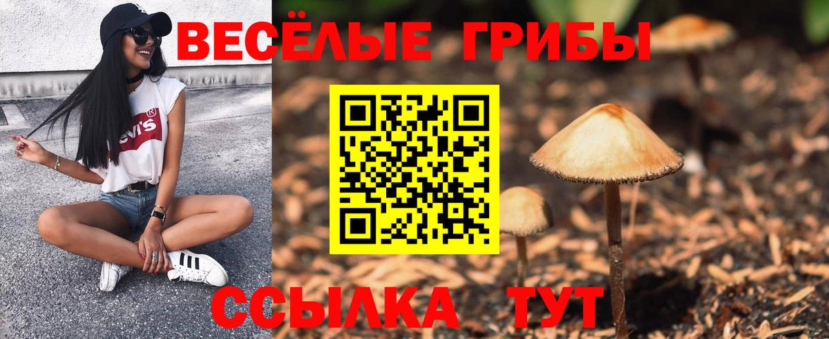 Железноводск  Псилоцибиновые грибы ЛСД  Вход с VPN 