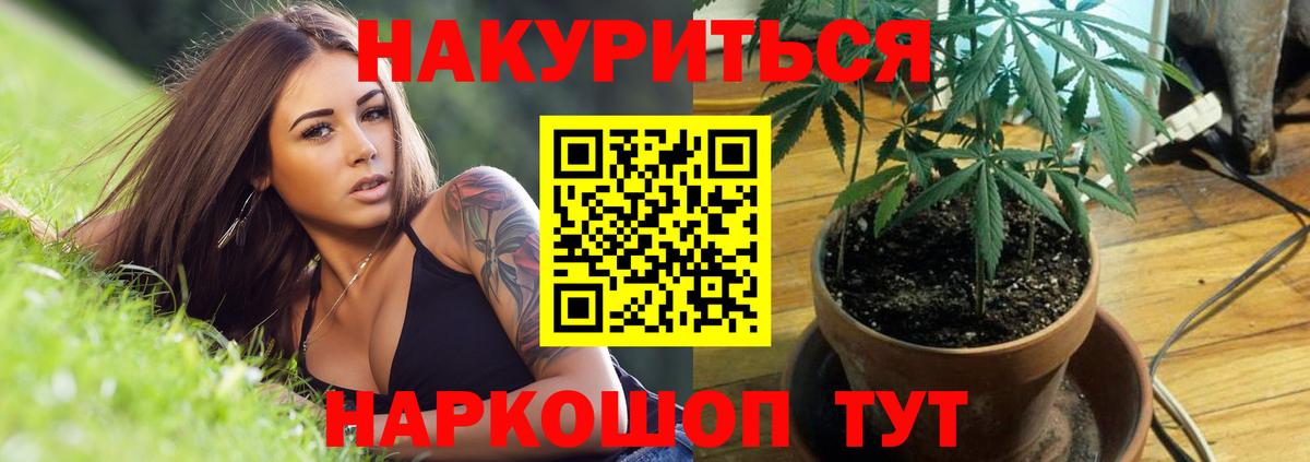 Бошки Шишки конопля Железноводск